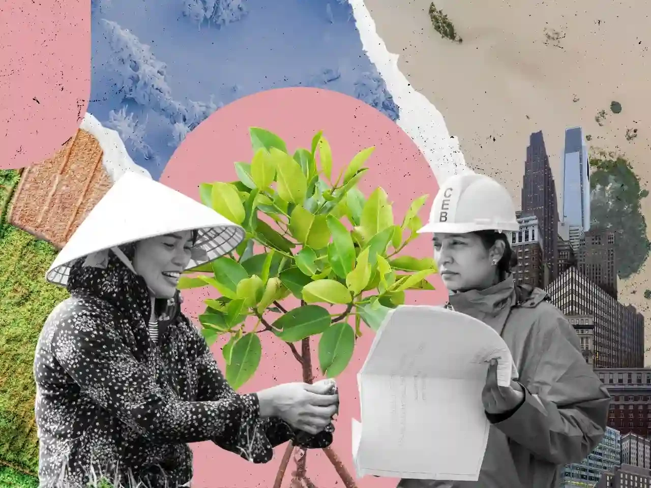 Climate Adaptation Strategies: How Cities Are Preparing for Extreme Weather